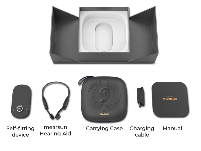 What's in the MES-100 kit?